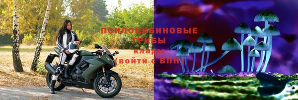 мяу мяу мука Белоозёрский