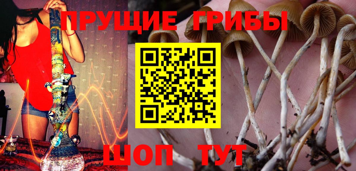 Альфа ПВП  Гашик  25-NBOMe  Вход с VPN  LSD-25  МЕФ  Ешки  ГАШИШ  МАРИХУАНА  Меф  Вятские Поляны  Кокаин 