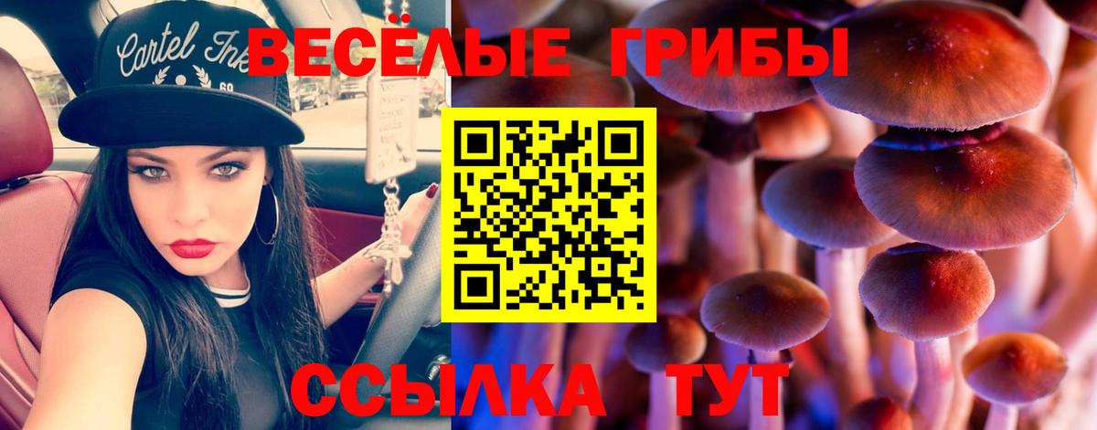 Псилоцибиновые грибы Cubensis Вятские Поляны