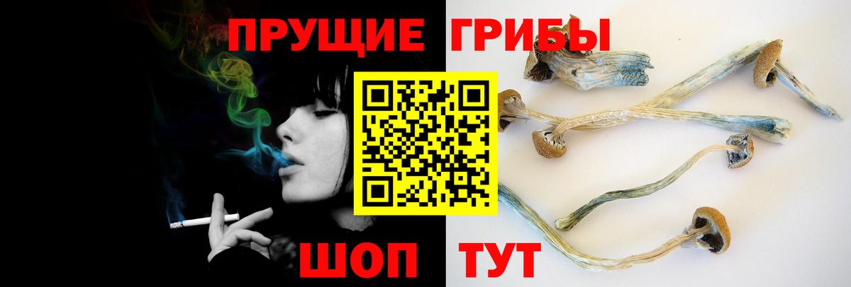 Псилоцибиновые грибы мухоморы Вятские Поляны